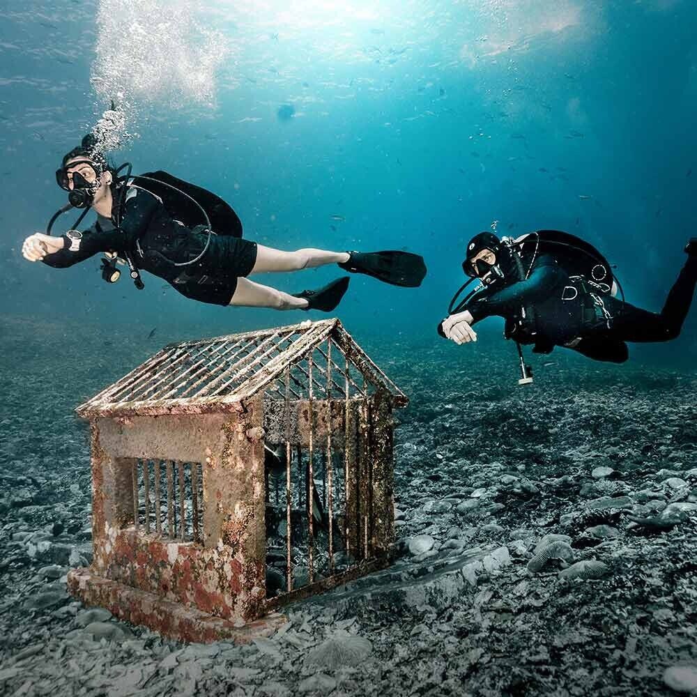 Fourth Element Thermocline Women Shorts